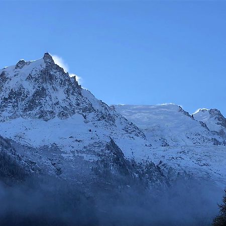 Les Alpins - Centre De Chamonix - Renove Avec Jardin Et Vue Imprenable Sur Le Montblanc Apartment Екстериор снимка