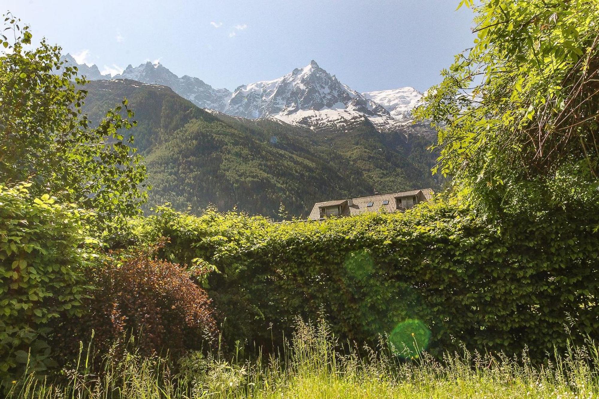 Les Alpins - Centre De Chamonix - Renove Avec Jardin Et Vue Imprenable Sur Le Montblanc Apartment Екстериор снимка